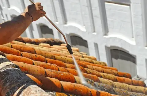 Nettoyage de toitures - Léchelle